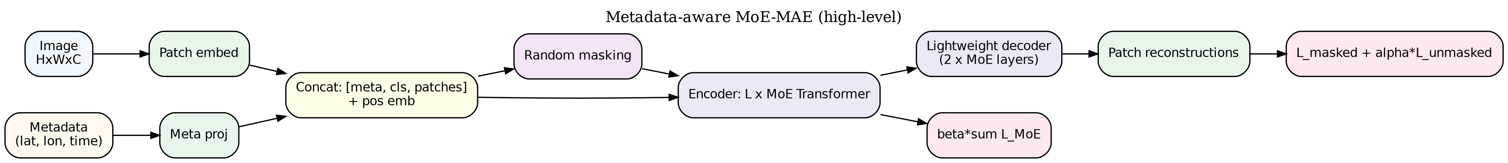 MoE-MAE Architecture